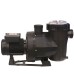 Astral Victoria Plus Silent 2 hp Trifaze Havuz Pompası