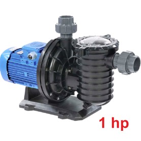1,00 HP Ön Filtreli Best Model Pompa (Monofaze)