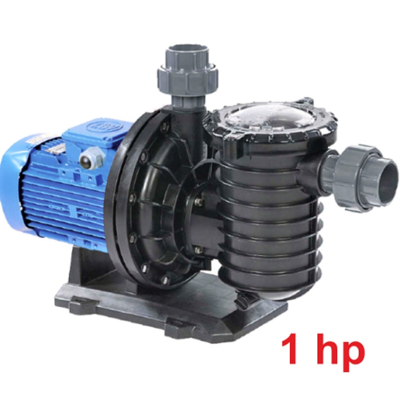 1,00 HP Ön Filtreli Best Model Pompa (Monofaze)