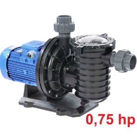 0,75 HP Ön Filtreli Best Model Pompa (Monofaze)