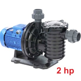 2,00 HP Ön Filtreli Best Model Pompa (Monofaze)