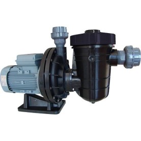 Nozbart 1 Hp Monofaze Kendinden Emişli Asit Pompası