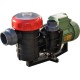 Nozbart Şirin Serisi 3/4 Hp Trifaze Havuz Pompası