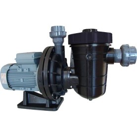 Nozbart 1,50 Hp Monofaze Kendinden Emişli Asit Pompası