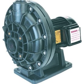 Nozbart 2 Hp Önfiltresiz Trifaze Kendinden Emişli Asit Pompası