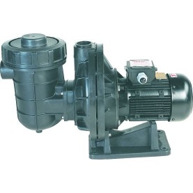 Nozbart 1,50 Hp Trifaze Kendinden Emişli Asit Pompası