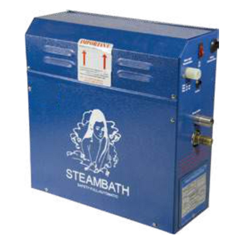 6 kW Buhar Jeneratörü FTSG-60